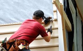 Best Wood Siding Installation  in Warren, IL